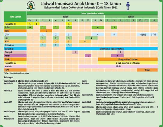 JADWAL IMUNISASI IDAI 2012 PDF